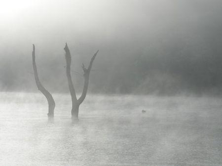 1Q84 / Livre 3 / 3 / Tengo ... route lac et Madurai 282