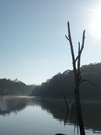 1Q84 / Livre 3 / 3 / Tengo ... route lac et Madurai 327