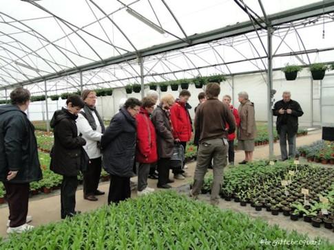Visite d'une entreprise maraîchère à Wambrechies. Visite d'une entreprise maraîchère à Wambrechies.