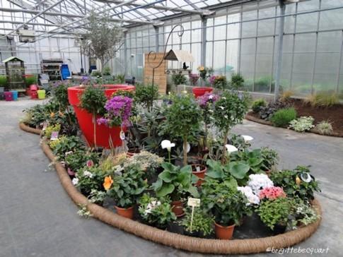 Visite d'une entreprise maraîchère à Wambrechies. Visite d'une entreprise maraîchère à Wambrechies.