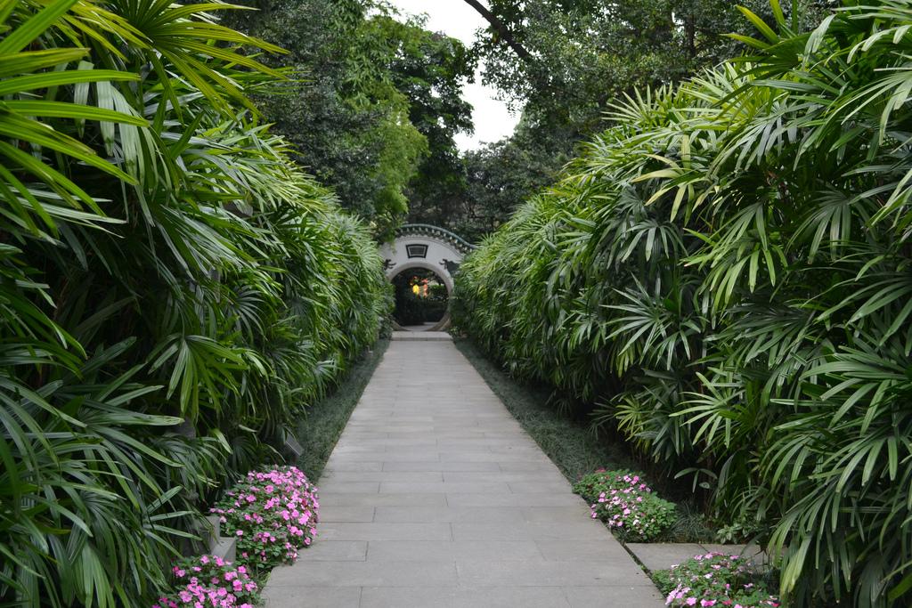 Parc des Orchidées-Guangzhou-