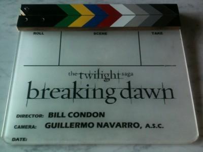 Le tournage de Breaking Dawn part 2 reprend !