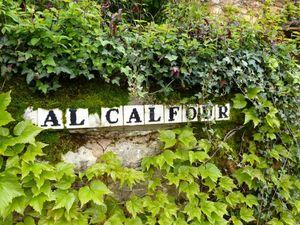 Ramures, ramures P1050833