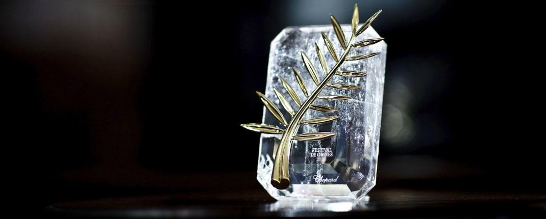 La palme d'or du Festival de Cannes 6 nouveaux films en sélection