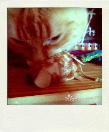 Week end et cadeaux !!! DSCN0552-pola