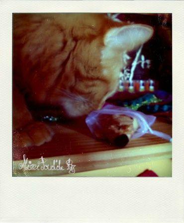 Week end et cadeaux !!! DSCN0547-pola