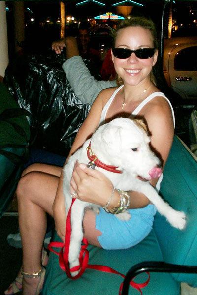 mariah-carey-with-her-dog-in-st-maartenblog-hotel-Jeu-De-Paume-paris Les stars sont folles de leur chien!