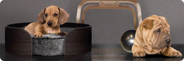So Concept design pour chiens So concept : Des paniers design et modulables pour chiens