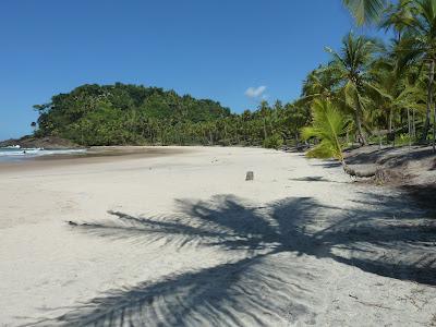 Les plus belles plages du Brésil sont à...Itacaré !