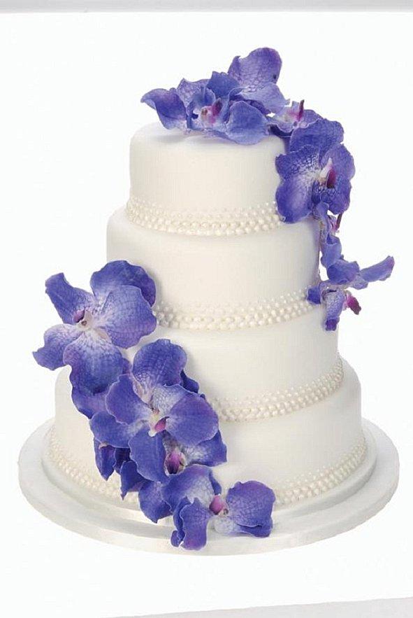 La femme talentueuse du jour: Peggy Porschen et sa pâtisserie! 114581.jpg