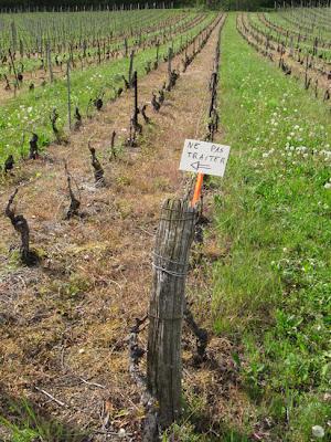 Lucey-Village viticole du Toulois