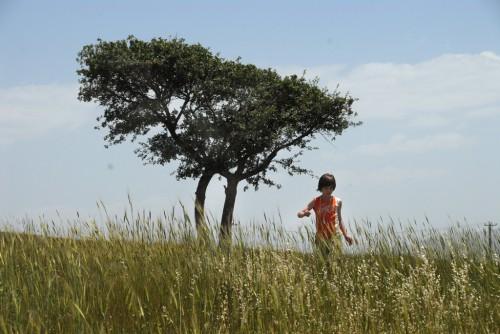 Querelles de Morteza Farshbaf - Borokoff / Blog de critique cinéma Querelles de Morteza Farshbaf - Borokoff / Blog de critique cinéma