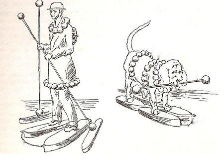 paddle et voûte plantaire brevet