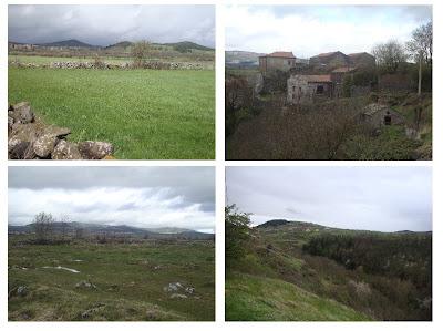 LES JOLIES GUIRLANDES CHAUSSEES LES JOLIES GUIRLANDES CHAUSSEES