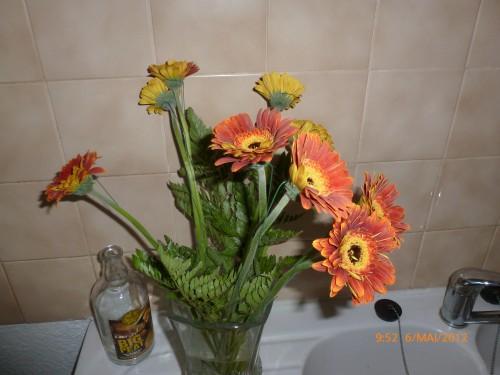 Mes bouquets du dimanche(photos perso) STE 5 MAI 2012 ET BOUQUET 004.jpg
