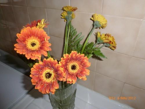 Mes bouquets du dimanche(photos perso) STE 5 MAI 2012 ET BOUQUET 005 hf.jpg