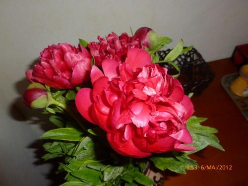 Mes bouquets du dimanche(photos perso) STE 5 MAI 2012 ET BOUQUET 007.jpg