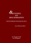 Brueghel en mes domaines de Lionel-Édouard Martin Couverture-Brueghel-342x470.jpg