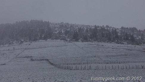 101_5193 101_5193