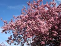img_7907 img_7907