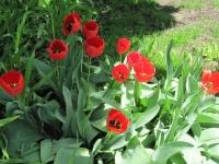 img_7897 img_7897