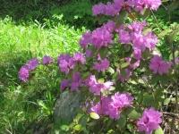 img_7886 img_7886