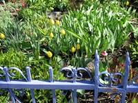 img_7745 img_7745