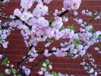 img_7837 img_7837