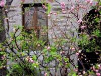 img_7737 img_7737