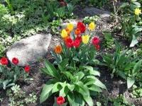 img_7890 img_7890