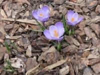 img_7511 img_7511