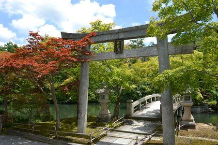 Eikan-do : le temple dans un bosquet calme ... DSC_3122
