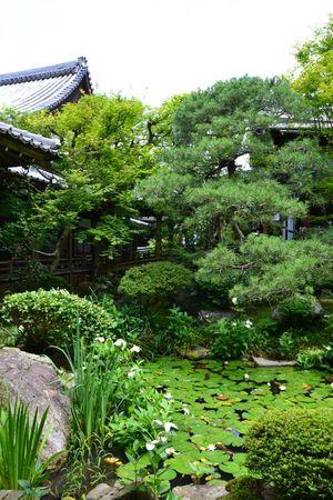 Eikan-do : le temple dans un bosquet calme ... DSC_3055