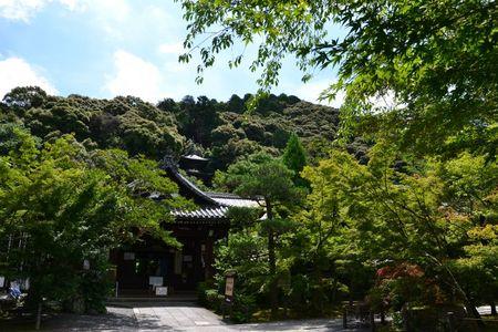 Eikan-do : le temple dans un bosquet calme ... DSC_3047