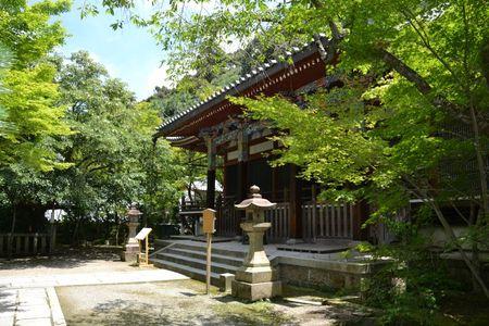 Eikan-do : le temple dans un bosquet calme ... DSC_3112