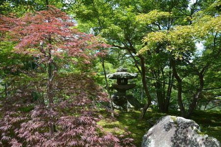 Eikan-do : le temple dans un bosquet calme ... DSC_3093