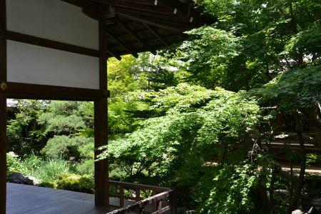 Eikan-do : le temple dans un bosquet calme ... DSC_3089