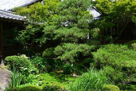 Eikan-do : le temple dans un bosquet calme ... DSC_3053
