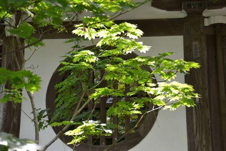 Eikan-do : le temple dans un bosquet calme ... DSC_3145
