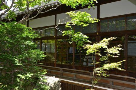 Eikan-do : le temple dans un bosquet calme ... DSC_3084
