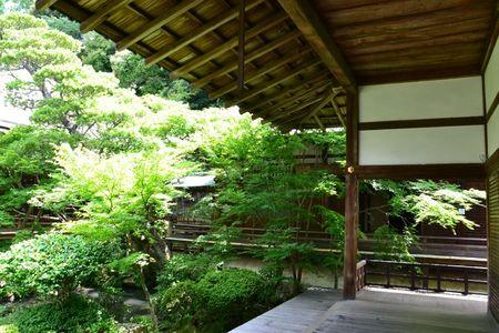 Eikan-do : le temple dans un bosquet calme ... DSC_3052