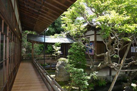 Eikan-do : le temple dans un bosquet calme ... DSC_3082