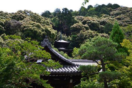 Eikan-do : le temple dans un bosquet calme ... DSC_3048