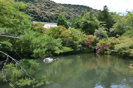Eikan-do : le temple dans un bosquet calme ... DSC_3130