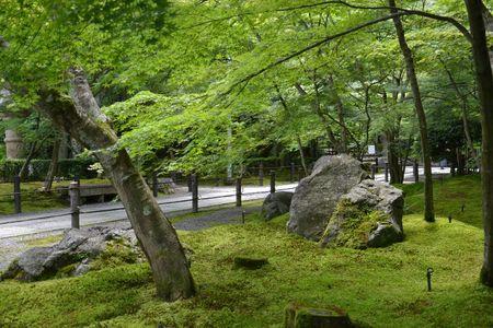 Eikan-do : le temple dans un bosquet calme ... DSC_3152