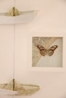 Butterflies Butterflies