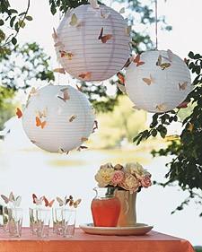 Butterflies Butterflies