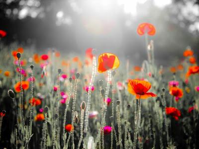 Dans mes cartons il y a... Dans mes cartons il y a...