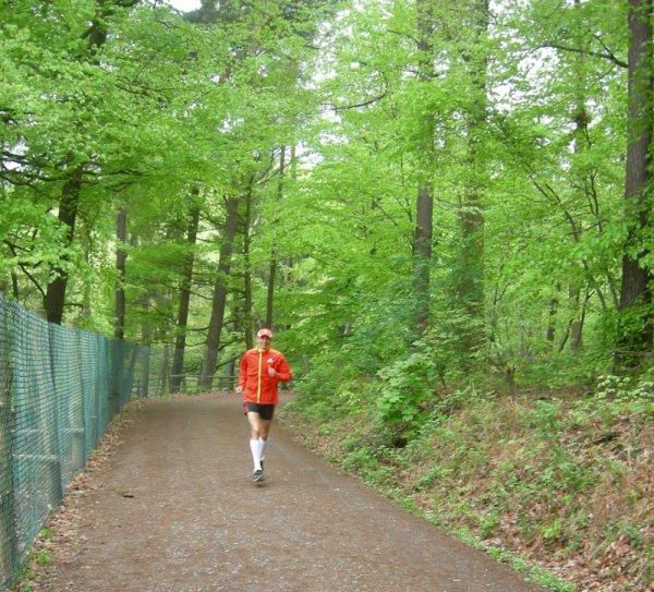 24. Sparkassen city-Lauf Sarrebruck: 5 sur 5 24. Sparkassen city-Lauf Sarrebruck: 5 sur 5