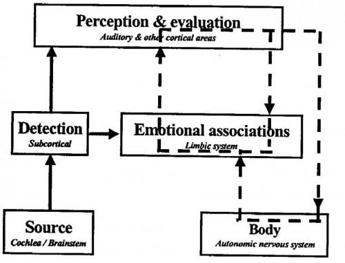 La Tinnitus Retraining Therapy - Fonctionnement - 2ème partie thérapie sonore, apprentissage, demystification, réentrainement comportemental, évaluation, détection